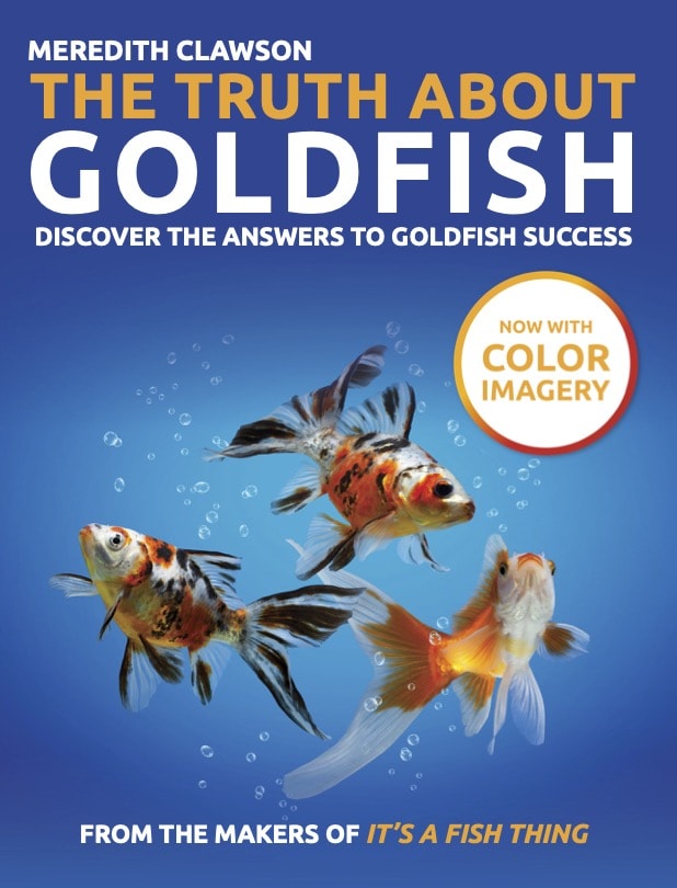 Правда о золотой рыбке, новое издание
