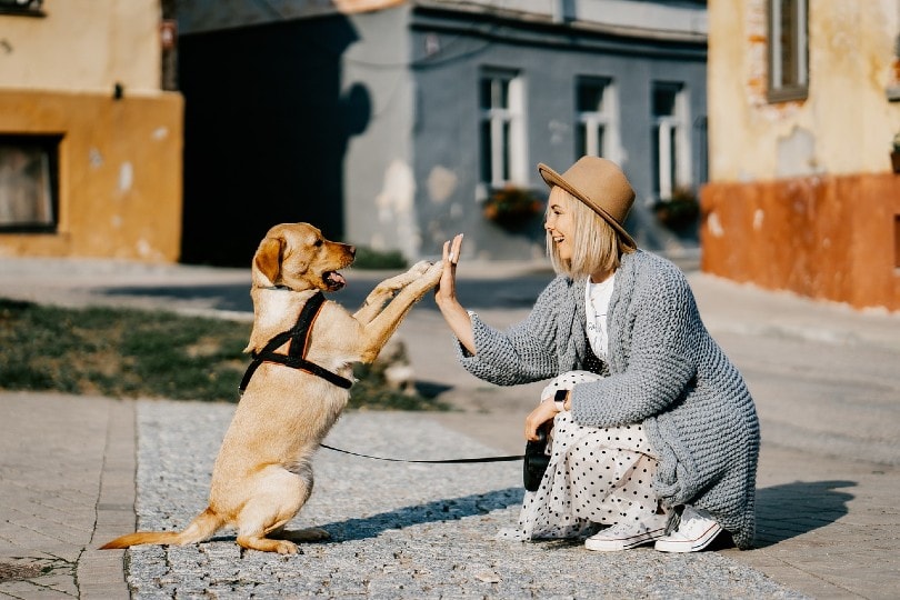 женщина играет с собакой на улице