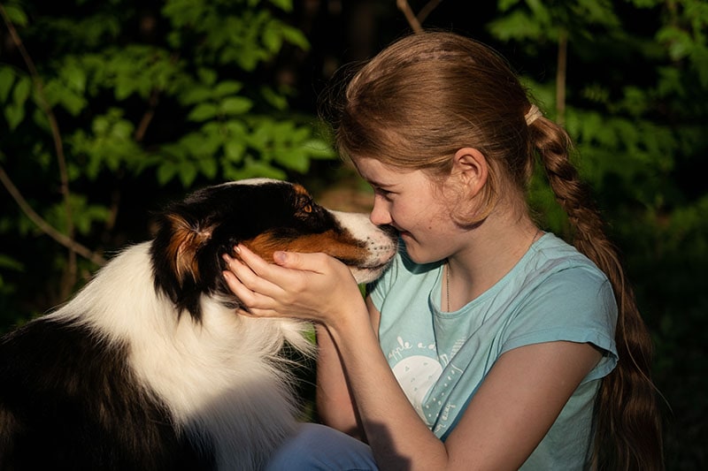 Летом девочка-подросток целует австралийскую овчарку.  стоять в лесу