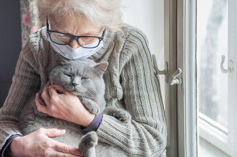 Пожилая женщина обнимает серого кота