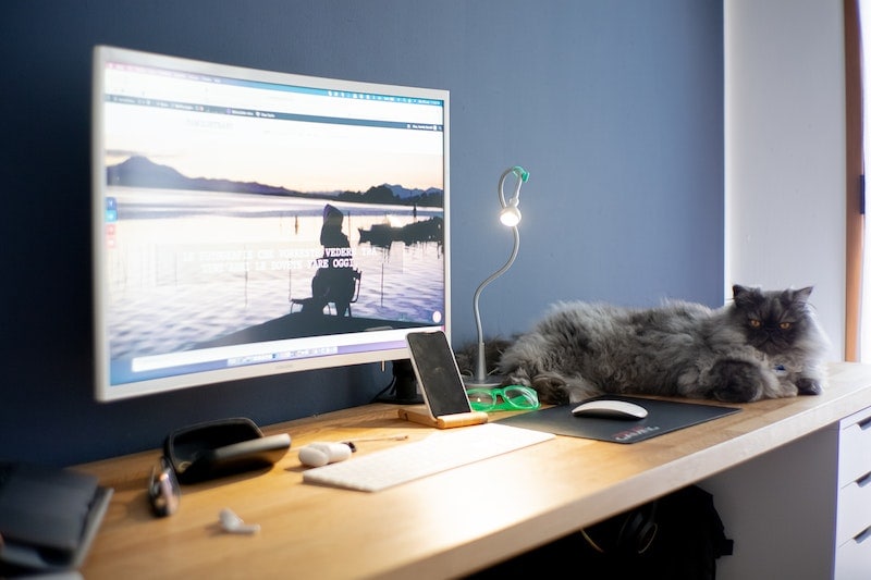 Серый кот лежит возле монитора на деревянном столе