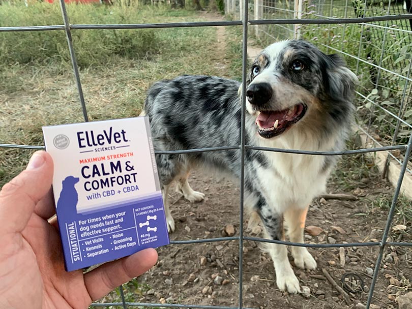 ellevet спокойный и комфортный продукт cbd