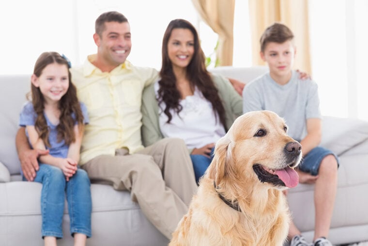Счастливая семья и собака вместе смотрят телевизор в гостиной
