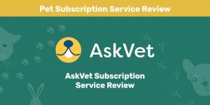 Read more about the article Обзор подписного сервиса AskVet: мнение нашего эксперта о его ценности