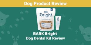 Read more about the article BARK Bright Dental Kit for Dogs Review 2022: мнение нашего эксперта