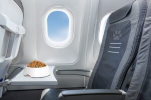Read more about the article Можно ли проносить собачью еду в самолет?