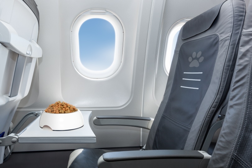 You are currently viewing Можно ли проносить собачью еду в самолет?