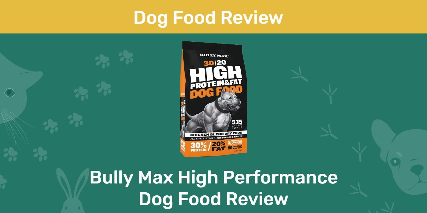 You are currently viewing Обзор корма для собак Bully Max High Performance — плюсы, минусы, отзывы и часто задаваемые вопросы