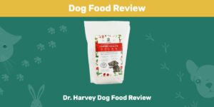 Read more about the article Обзор корма для собак Dr. Harvey 2022: плюсы, минусы, отзывы и часто задаваемые вопросы