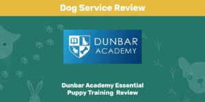 Read more about the article Обзор курса обучения щенков Dunbar Academy Essential Puppy 2022: мнение нашего эксперта