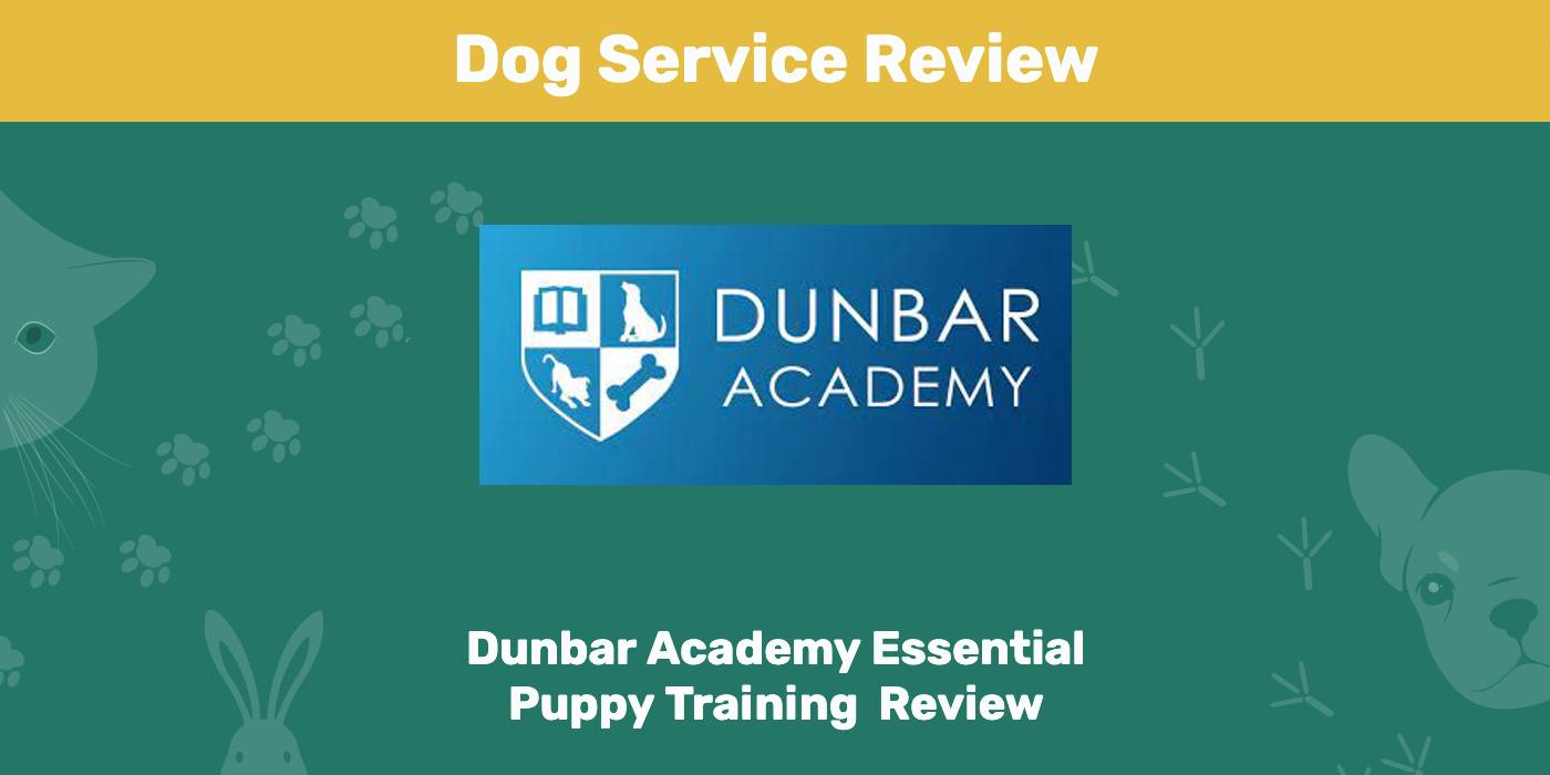 You are currently viewing Обзор курса обучения щенков Dunbar Academy Essential Puppy 2022: мнение нашего эксперта