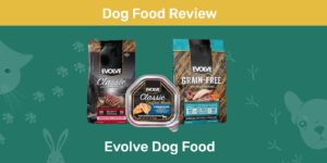 Read more about the article Обзор корма для собак Evolve: отзывы, плюсы и минусы