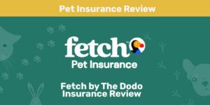 Read more about the article Fetch by The Dodo Review 2022: мнение нашего эксперта о его ценности