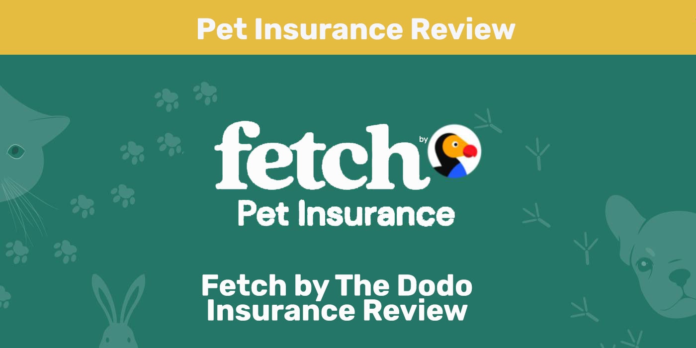 You are currently viewing Fetch by The Dodo Review 2022: мнение нашего эксперта о его ценности