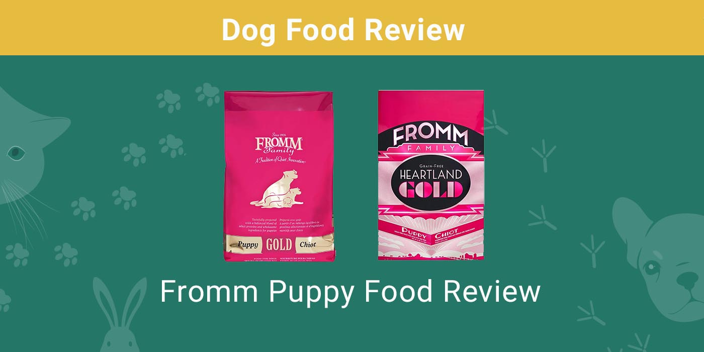 Read more about the article Fromm Puppy Food Review 2022: отзывы, плюсы и минусы