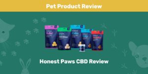 Read more about the article Обзор Honest Paws CBD 2022: мнение нашего эксперта о его ценности