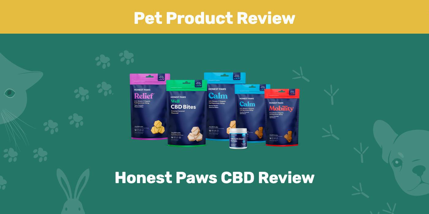 You are currently viewing Обзор Honest Paws CBD 2022: мнение нашего эксперта о его ценности