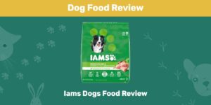 Read more about the article Обзор корма для собак Iams 2022: плюсы, минусы, отзывы и часто задаваемые вопросы