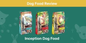 Read more about the article Обзор корма для собак Inception: отзывы, плюсы и минусы