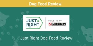 Read more about the article Обзор корма для собак Just Right (2022 г.): плюсы, минусы, отзывы и часто задаваемые вопросы