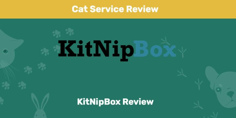 Обзор KitNipBox