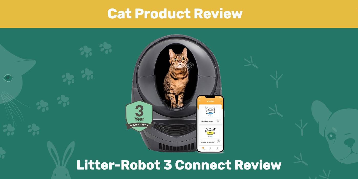 You are currently viewing Litter-Robot 3 Connect Review 2022: мнение нашего эксперта
