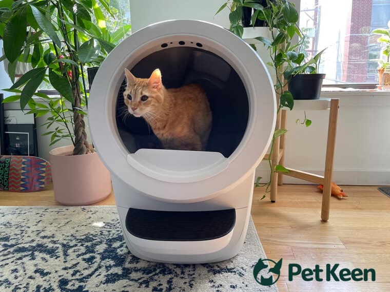 Litter Robot 4 новое изображение