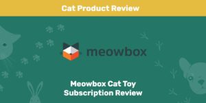 Read more about the article Обзор подписки Meowbox 2022: мнение нашего эксперта