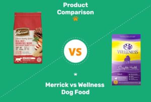 Read more about the article Merrick и Wellness Dog Food: наше подробное сравнение 2022 года