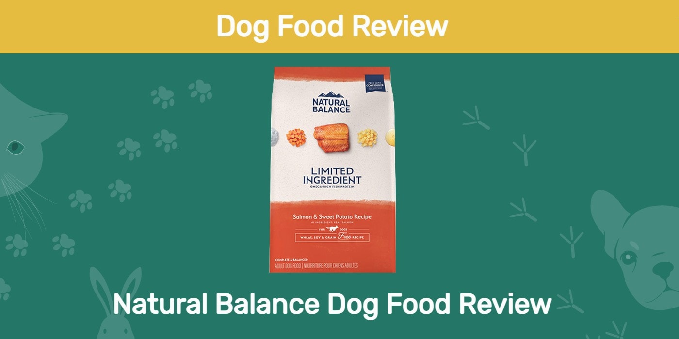 You are currently viewing Обзор корма для собак Natural Balance 2022: отзывы, плюсы и минусы