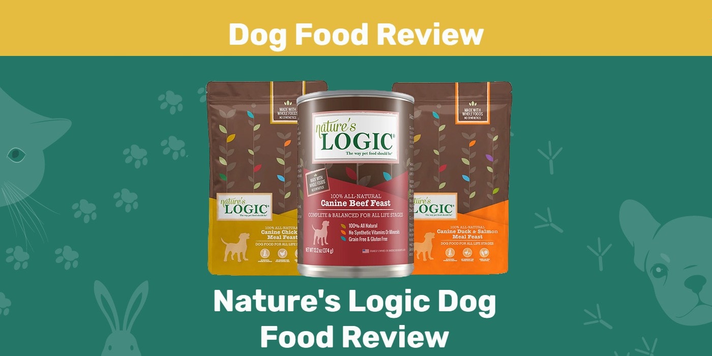 You are currently viewing Обзор корма для собак Nature’s Logic 2022: плюсы, минусы, отзывы и часто задаваемые вопросы