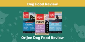 Read more about the article Обзор корма для собак Orijen 2022: плюсы, минусы, отзывы и часто задаваемые вопросы