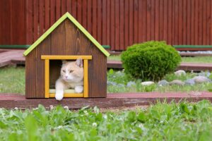 Read more about the article 10 потрясающих атмосферостойких домиков для кошек на открытом воздухе своими руками (с иллюстрациями)