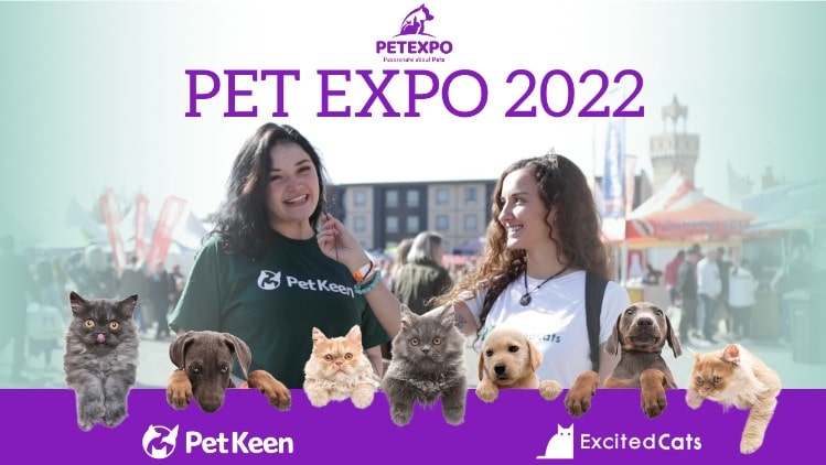 You are currently viewing Pet Expo 2022 — крупнейшее событие для домашних животных в Африке!