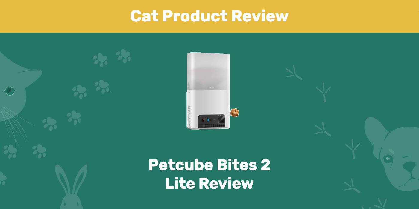 You are currently viewing Обзор Petcube Bites 2 Lite 2022: мнение нашего эксперта