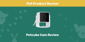 Read more about the article Обзор Petcube Cam 2022: мнение нашего эксперта о его ценности