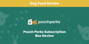 Read more about the article Обзор подписки на корм для собак Pooch Perks: мнение нашего эксперта