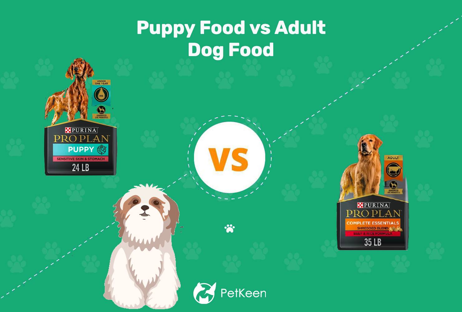 You are currently viewing Корм для щенков и взрослых собак: в чем разница?