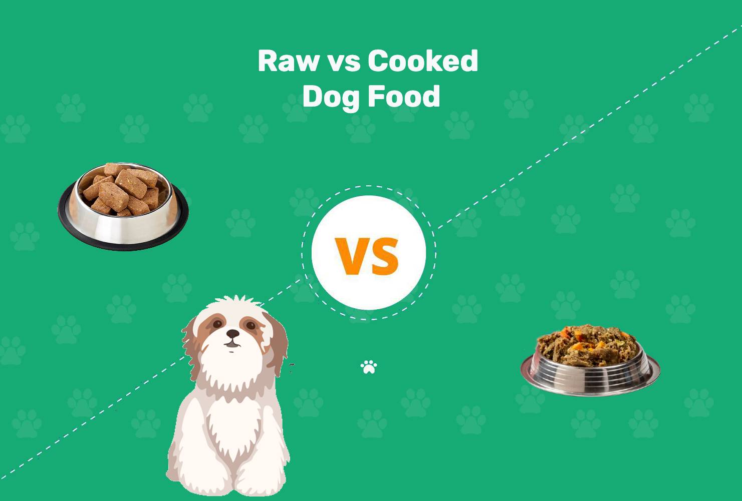 You are currently viewing Сырой или приготовленный корм для собак: плюсы, минусы и что выбрать