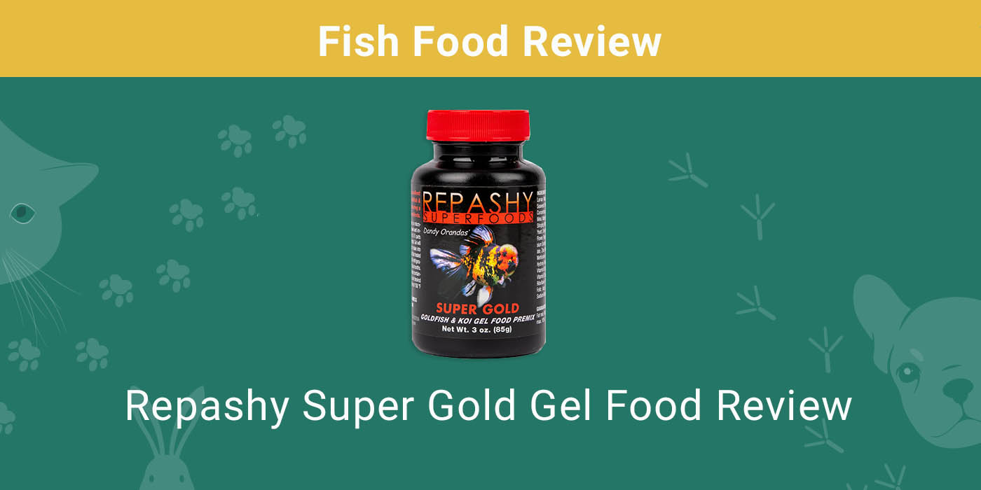 You are currently viewing Repashy Super Gold Gel Food Review 2022: руководство и руководство покупателя