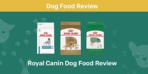 Read more about the article Обзор корма для собак Royal Canin – плюсы, минусы, отзывы и часто задаваемые вопросы