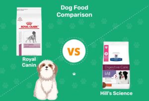 Read more about the article Корм для собак Royal Canin vs Hill’s Science Diet (сравнение 2022 г.): плюсы, минусы и что выбрать