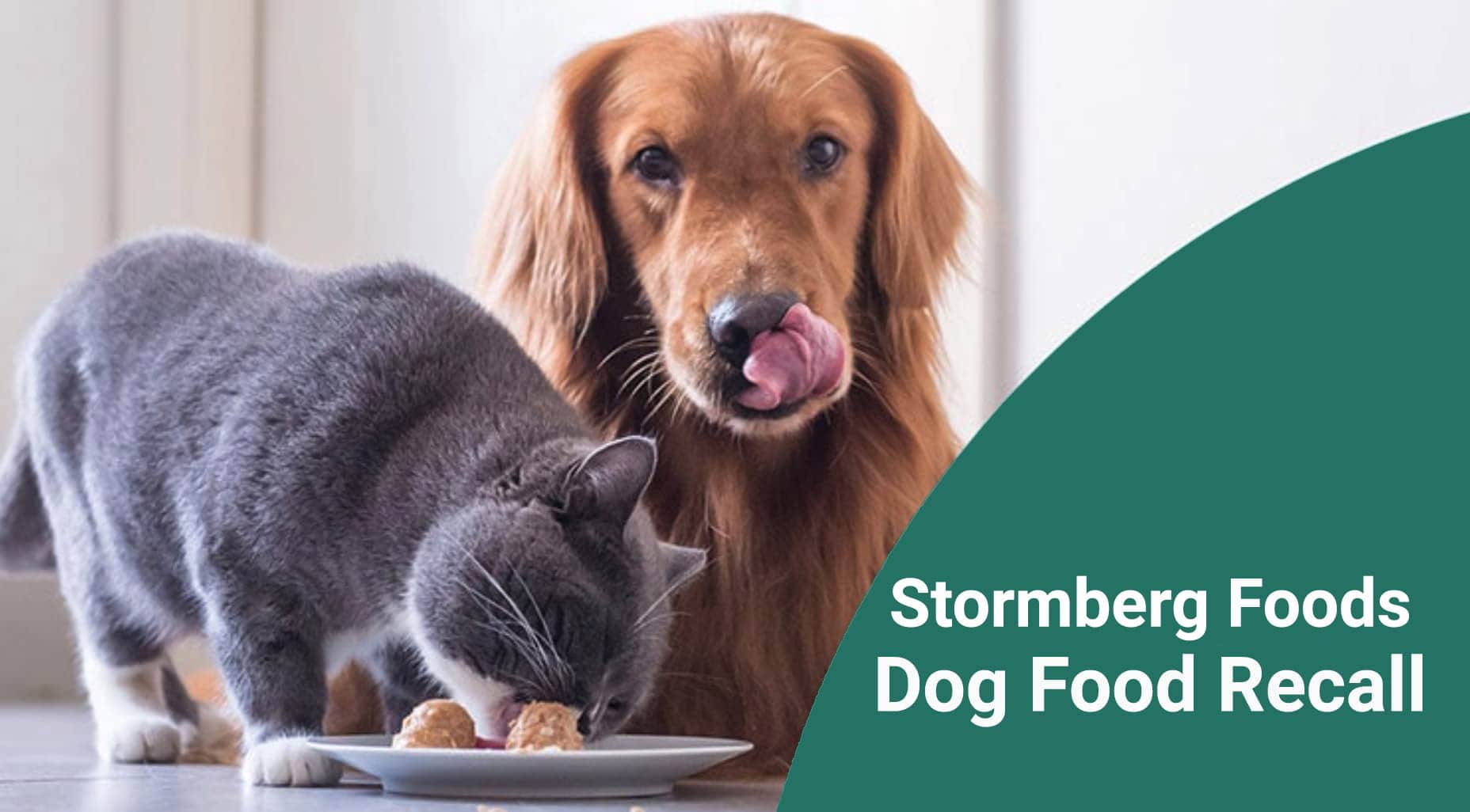 You are currently viewing Stormberg Foods LLC Отзыв кормов для домашних животных