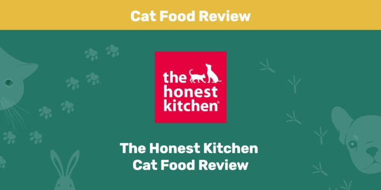 The Honest Kitchen Cat Food Review PK Избранное изображение