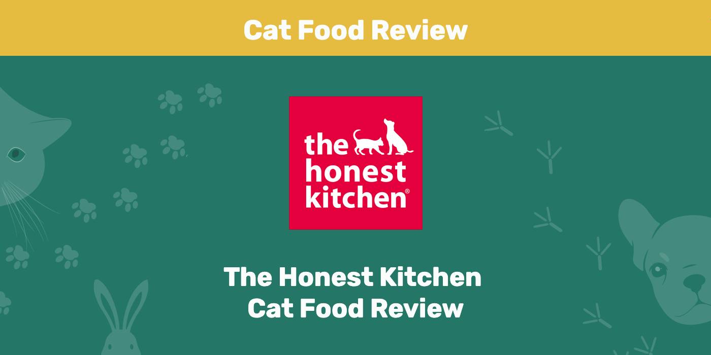 You are currently viewing The Honest Kitchen Cat Food Review 2022: мнение нашего эксперта