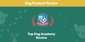 Read more about the article Обзор Top Dog Academy 2022: мнение нашего эксперта