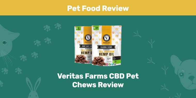 Обзор жевательных резинок Veritas Farms CBD для домашних животных Рекомендуемое изображение