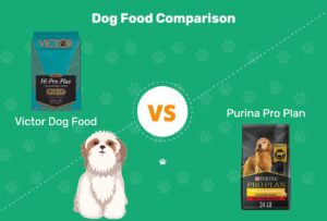 Read more about the article Корм для собак Victor vs Purina Pro Plan: плюсы, минусы и что выбрать