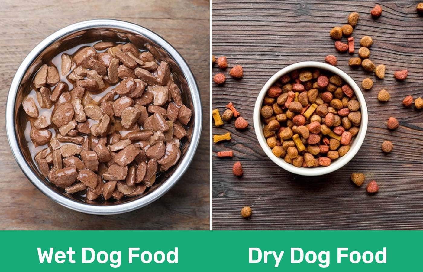 You are currently viewing Влажный и сухой корм для собак: плюсы, минусы и что выбрать