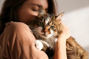 Read more about the article Полезны ли кошки для психического здоровья и стресса?  7 способов, которыми они могут помочь